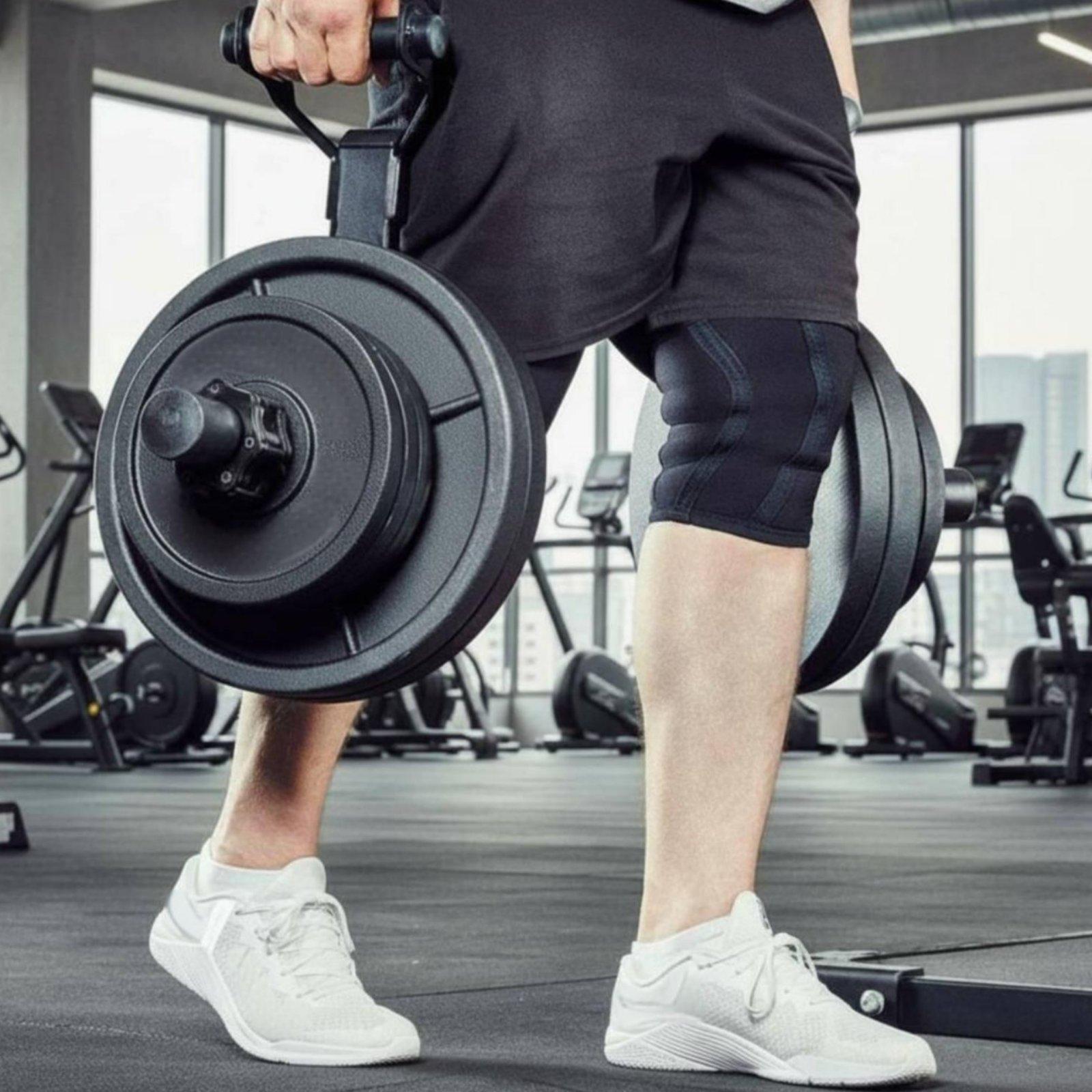 ชั้นวางจัดระเบียบแผ่นน้ำหนักบา - Home Gym Equipments บทวิจารณ์และราคา